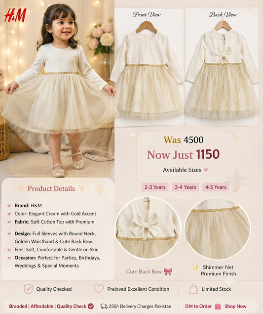 H&M Girls Gold Accent Shimmer Net Birthday & Wedding Dress